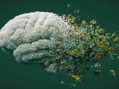 Environmental Health: How Our Surroundings Shape Our Well-being