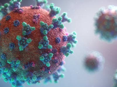 Public Health: Where Care, Prevention and Community Meet